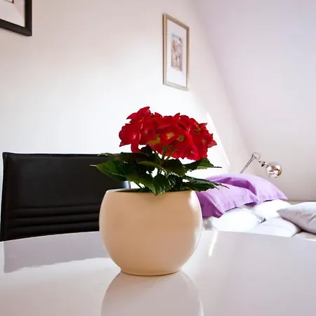 里加老城公寓 * 里加